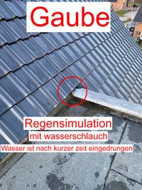 IMMO Service GmbH, Hamburg, Schleswig-Holstein, Baugutachter, Regensimulation, Wasserschlauch, Dach, Baum&auml;ngel, Schimmelpilz